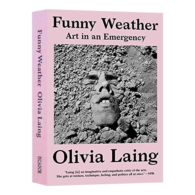搞笑天气 紧急情况下的艺术 英文原版 Funny Weather: Art in an Emergency 奥利维娅莱恩 英文版 进口英语书籍