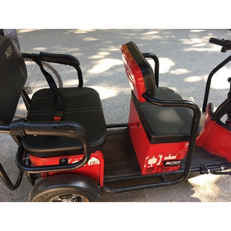 电三车摩托车后座155儿童安全带安装两点式老人动轮椅轮保险带免