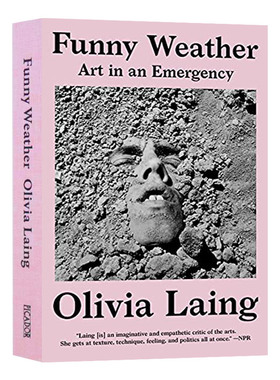 搞笑天气 紧急情况下的艺术 奥利维娅莱恩 Funny Weather: Art in an Emergency 英文原版小说 进口英语书籍