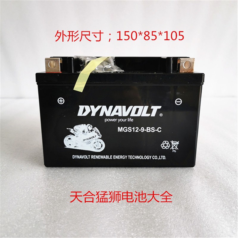 猛狮摩托车电瓶YTX9-BS黄龙600 gw250蓄电池xjr400 cbr600 zr-7