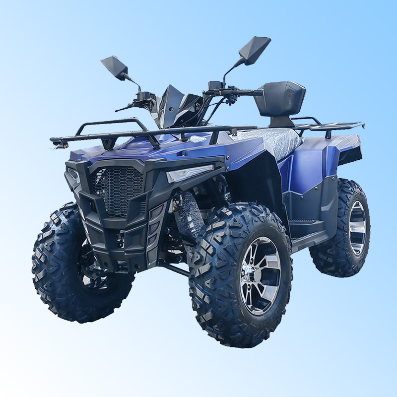 300CC战将沙滩车ATV全地形山地车四轮越野摩托车