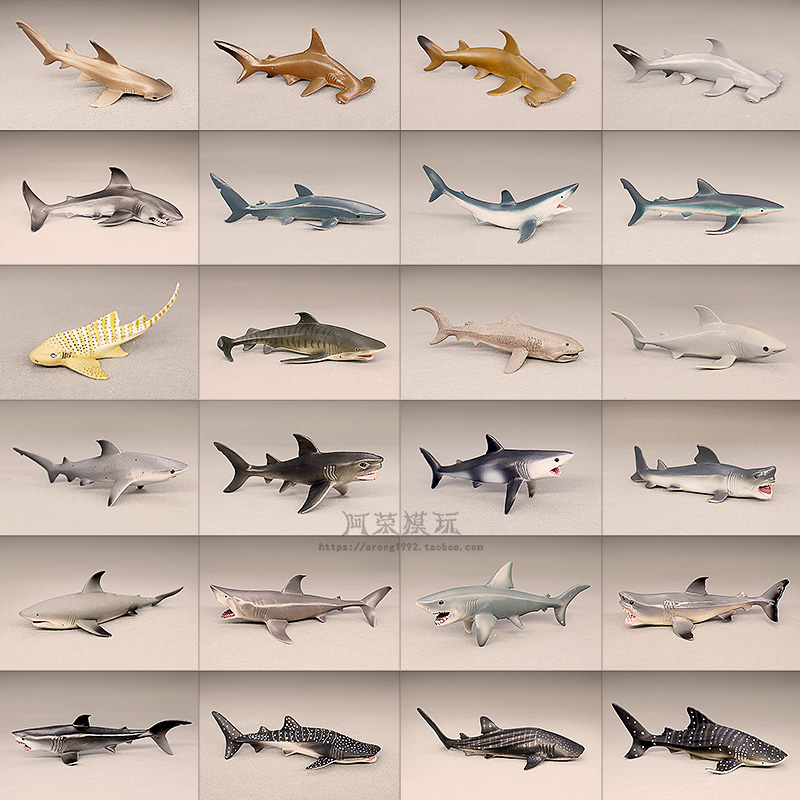 认知仿真海洋动物模型 大白鲨锤头鲨蓝鲨鲸鲨姥鲨猫鲨鱼摆件玩具