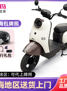 爱玛斯波兹曼电动车上海包上牌新国标电瓶车小龟王电动自行车碟刹