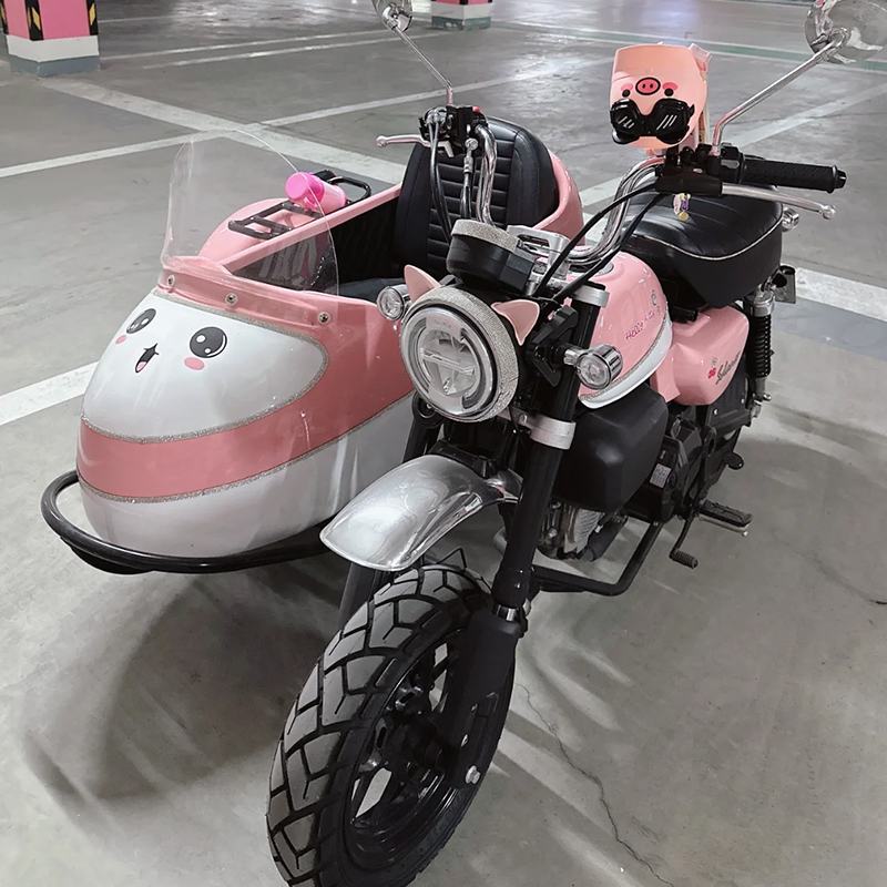 猪猪头盔电动车手机导航支架防雨水电瓶摩托自行车遮阳架2024新款