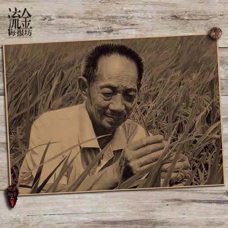 杂交水稻之父袁隆平画像海报中国科学家复古怀旧牛皮纸壁画挂画