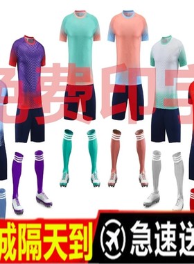 定制国家队球衣2024新款国足训练服中国男足短袖足球服运动比赛