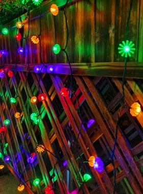 装饰灯笼会e件挂在亮的灯笼小横阳台发光的挂树上小不插电串过年