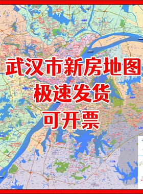 高清打印武汉市新房地图房产中介全国各城市行政区划图卫星图包邮