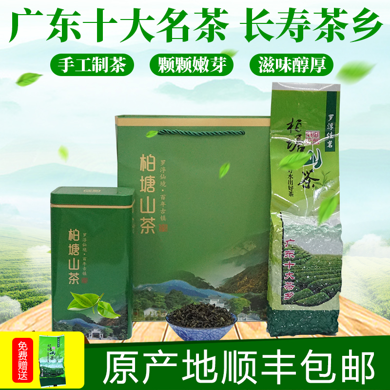 柏塘山茶七月茶广东十大名茶惠州博罗客家特级绿茶罗浮山特产茶叶
