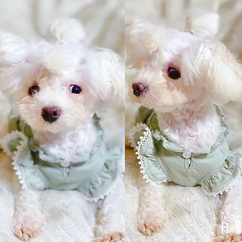 宠物狗泰迪飞边袖公主生日夏季小型中型犬可爱漂亮连衣裙纸样定制