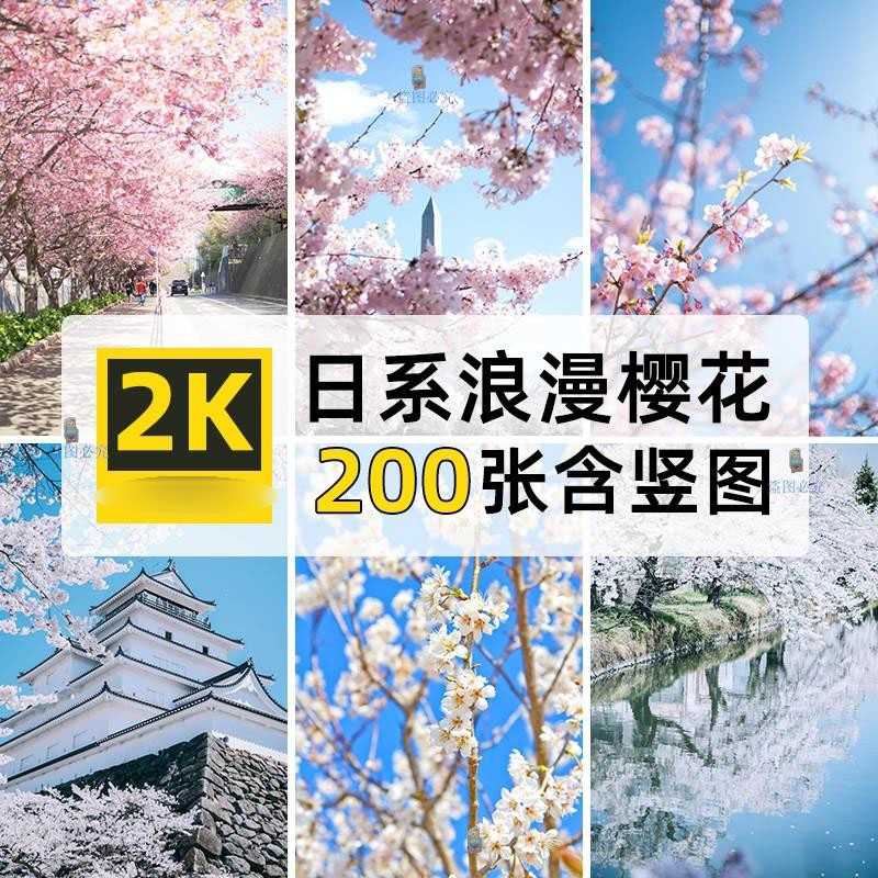 高清4K竖图片日系浪漫樱花树花朵自媒体PS设计画手机壁纸素材
