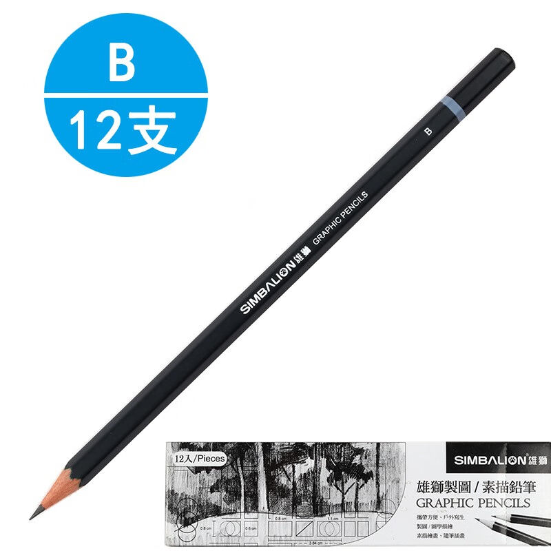 SIMBALION雄狮素描铅笔画画专用套装初学者绘画笔工具专业全套B12