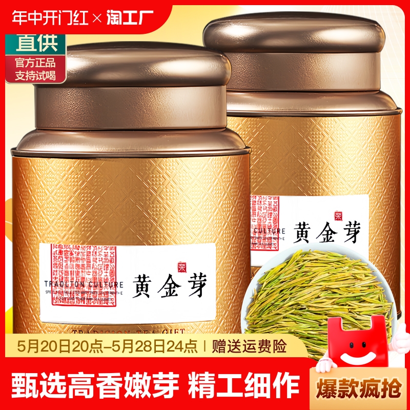 黄金芽茶叶2024年新茶明前珍稀高山安吉绿茶春茶自己喝黄金叶罐装