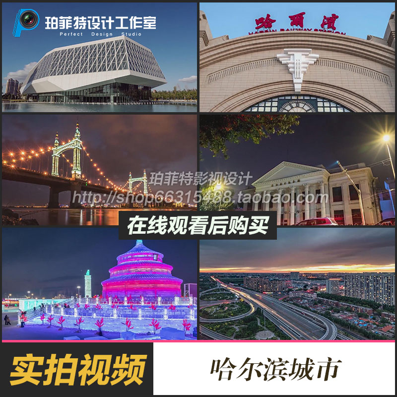 哈尔滨城市夜景航拍黑龙江大桥视频素材大剧院延时摄影城市风景