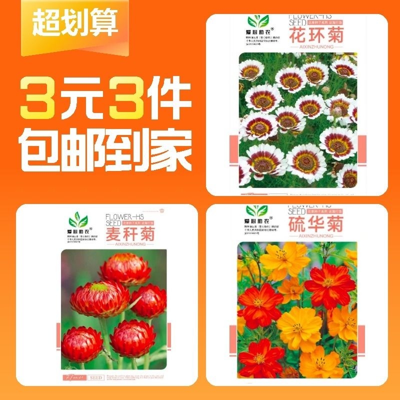 【3元3件】麦秆菊种子+硫华菊种子+花环菊种子