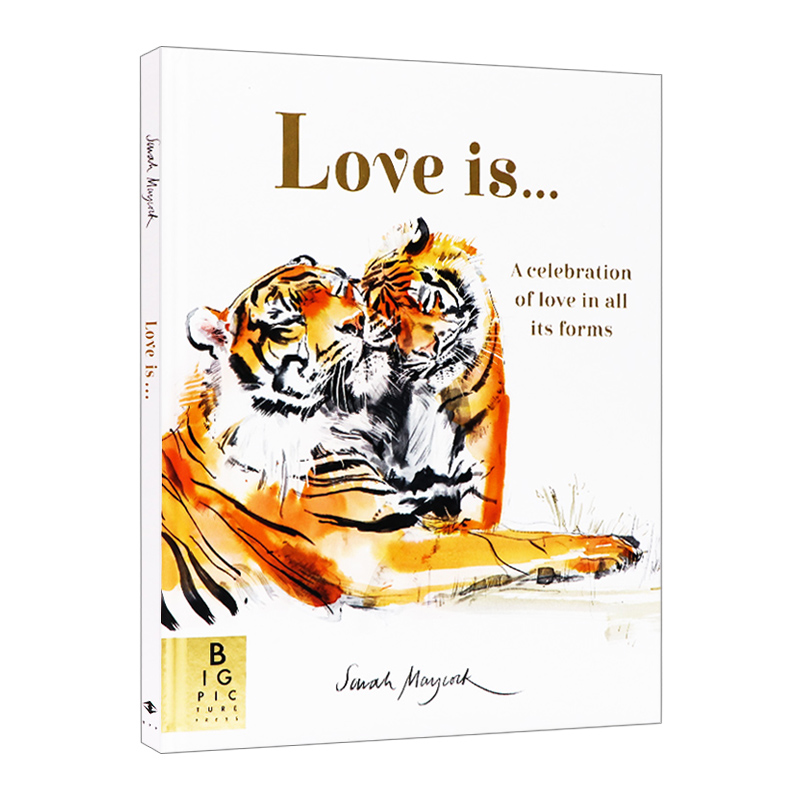 Love Is... 爱是什么  精装绘本进口原版英文书籍