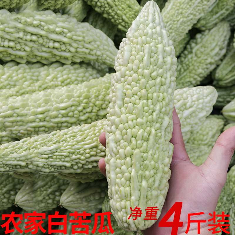 福建漳州农家自种本地新鲜白苦瓜凉瓜癞瓜现摘当季时令蔬菜4斤装