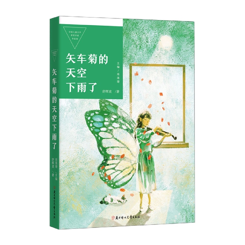 中国儿童文学获奖作家作品选—矢车菊的天空下雨了