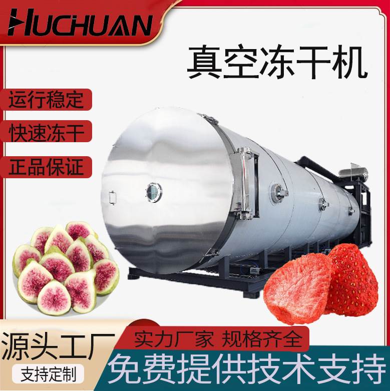 低温真空冻干机 食品果蔬真空冻干设备 水果片冷冻干燥机