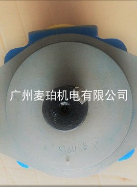 新品Y-BFQ80/8m液压油泵YB0E8-/8广东广液牌罗定泵挤压铸机注塑机