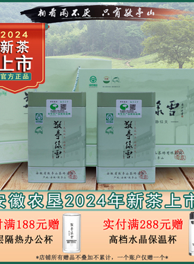 正宗敬亭绿雪茶2024年新茶宣城敬亭山原产地明前茶一级绿茶礼盒装