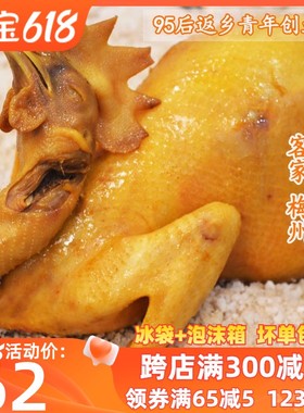 正宗广东梅州盐焗鸡整只客家盐局老土鸡咸鸡小吃真空营养熟食