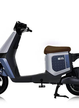 新款 爱玛电动车 48V24A大容量 新国标电动自行车 长跑王 电瓶车