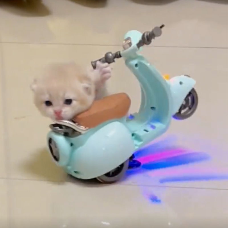 儿童迷你电动车玩具宠物猫咪仓鼠特技摩托车灯光音乐摇摆女孩旋转
