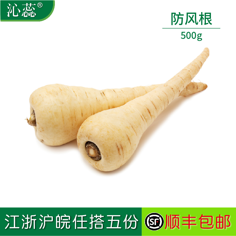 【沁蕊】新鲜防风根500g 白胡萝卜parsnip  欧洲萝卜