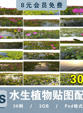 池塘荷花睡莲水草水面水生植物高清景观效果图PS分层免抠图片素材