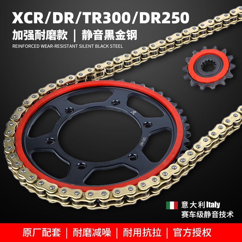适DR250 XCR300 DR300 TR300摩托车大小牙盘静音链轮征和油封链条
