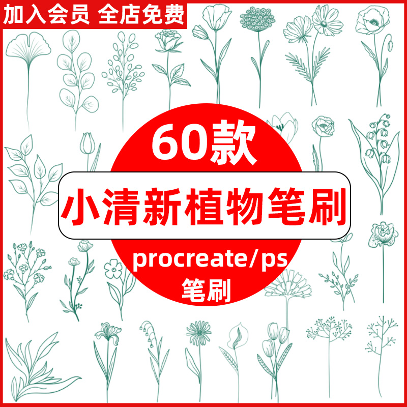 procreate笔刷ps笔刷小清新热带植物叶子花卉手绘线稿插画装饰
