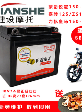 适用钱江五  洋款QJ150-18A/H男士摩托车免维护蓄电池12V7A干电瓶