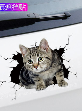 创意个性3D趣味小猫汽车贴纸可爱搞怪猫咪遮挡车身车尾划痕刮痕贴