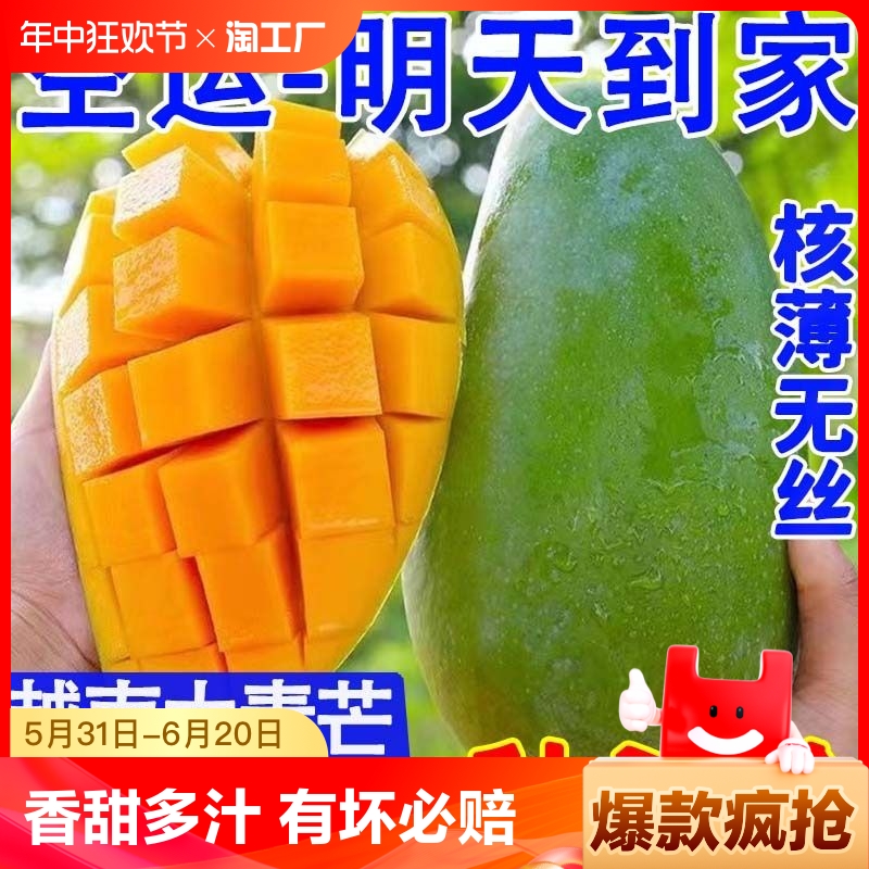 首单越南青芒10斤新鲜应季水果进口孕妇包邮整箱大果多汁饱满芒果