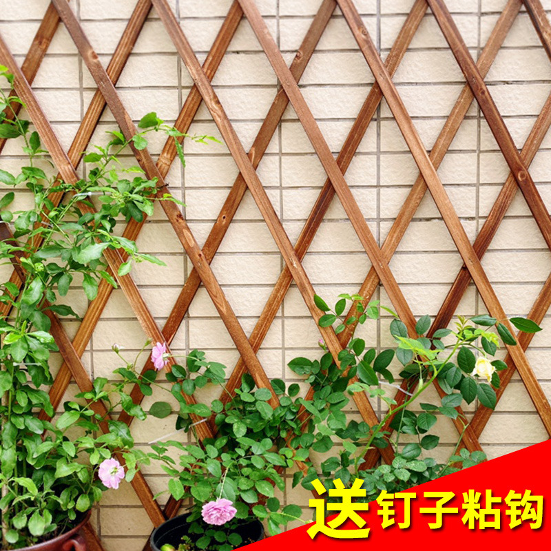 爬墙花架网格风车茉莉爬藤蔓植物子红上阳台蔷薇固定的月季面挂在