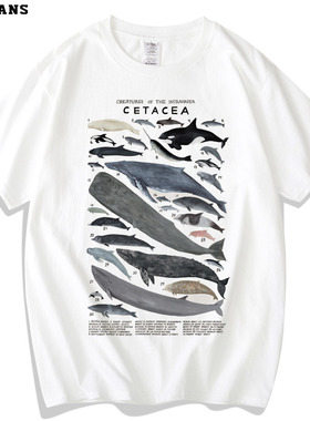 海洋哺乳动物鲸鱼印花短袖鲸目科普水彩手绘宽松纯棉潮流男女同款