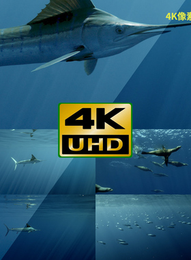 406-4K视频素材-鱼群气候变化全球户外天空美景日出夕阳风光寒冷