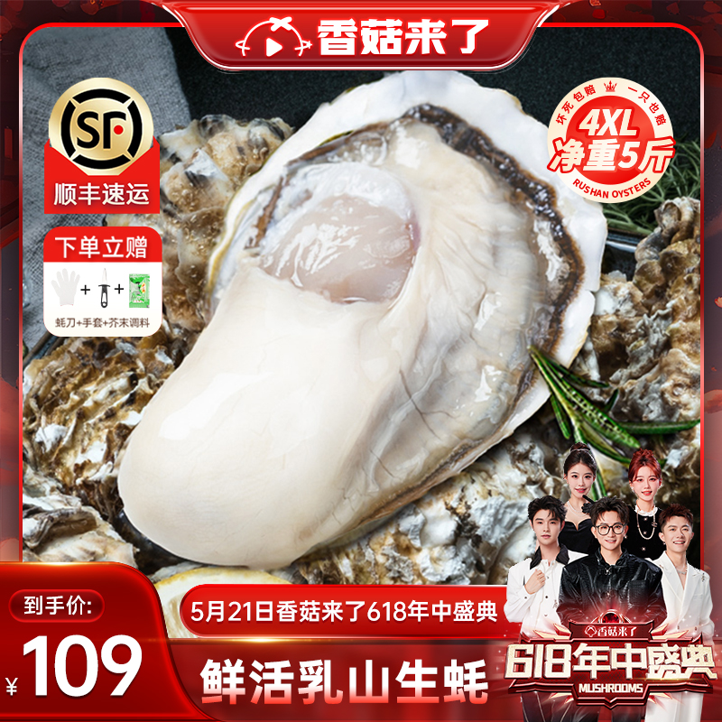 【香菇618】鲜海道鲜活乳山生蚝水产海鲜生鲜4XL特大生蚝净重5斤
