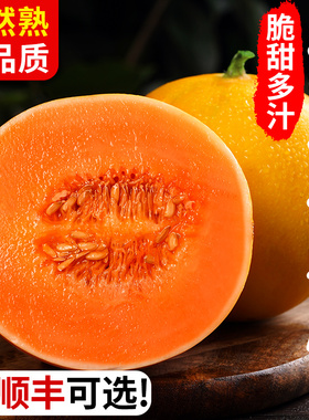 陕西黄河蜜瓜甜瓜10水果新鲜当季整箱斤沙漠黄金哈密瓜香瓜羊角脆
