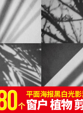 窗户光影黑白剪影图 植物树叶PNG免抠平面海报渲染场景合成PS素材