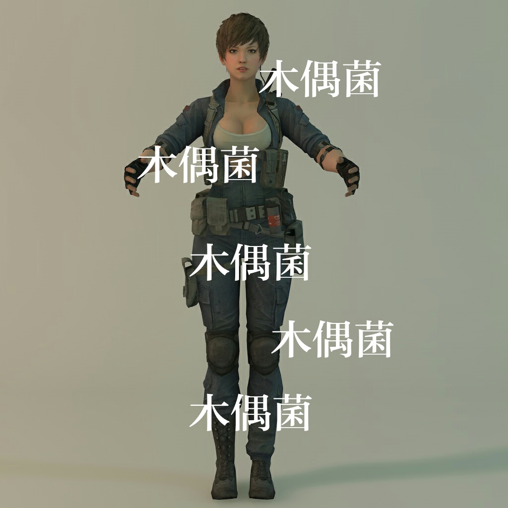c4d fbx 格式枪战美女游戏女人物战士面部身体骨骼绑定 非实物C90