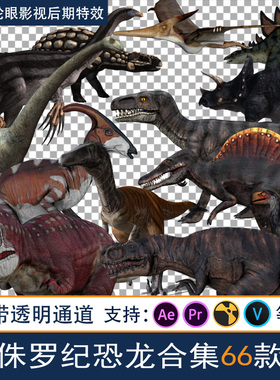 高质量恐龙动画素材影视后期特效合成霸王龙三角龙剑龙霸王龙视频