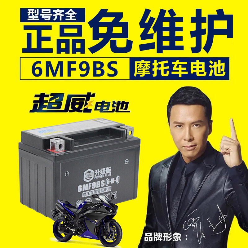 YTX9-BS摩托车电瓶gw250黄龙600xjr400通用免维护蓄电池12V9a