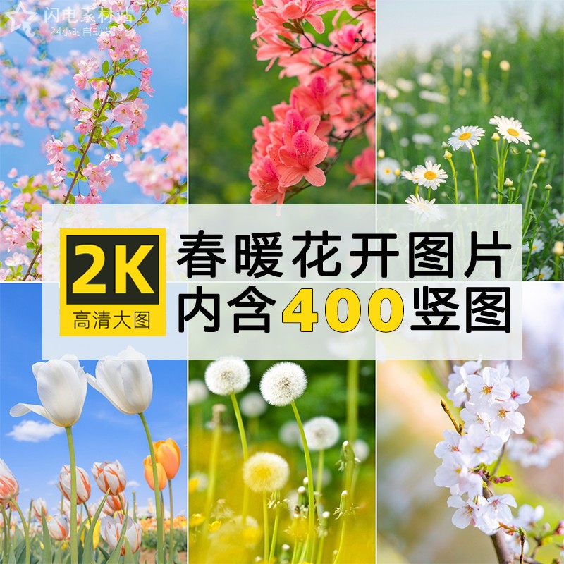 高清4K竖图片春天花朵春暖花开摄影ps设计2K手机壁纸素材自动发货