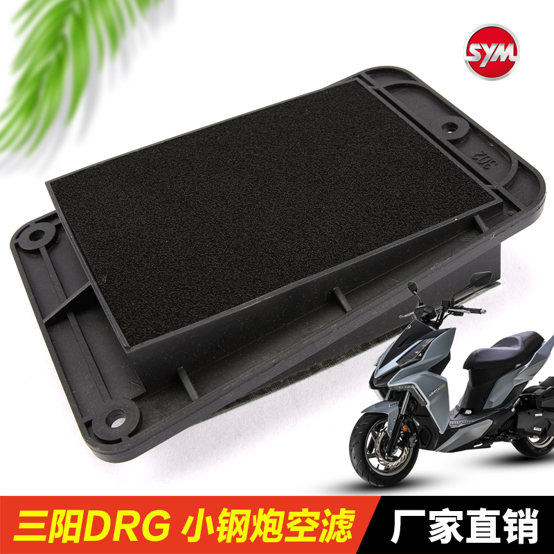 三阳踏板摩托车DRG1504V DRG158 XS150T-10空气滤芯滤清器空滤器