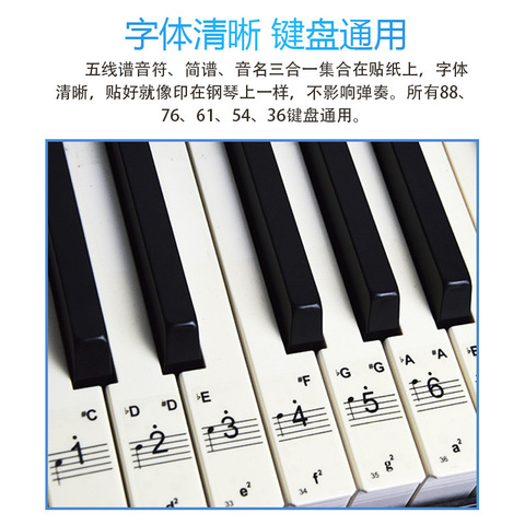 键盘贴纸五线谱简谱贴钢琴初学手卷键盘贴钢琴电子琴电钢