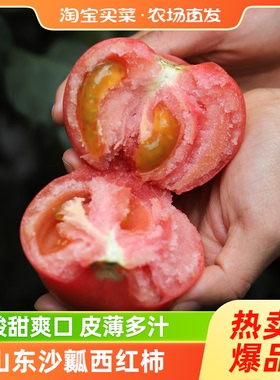 山东沙瓤西红柿当季新鲜番茄品质甄选沙瓤水果蔬菜芭芭农场