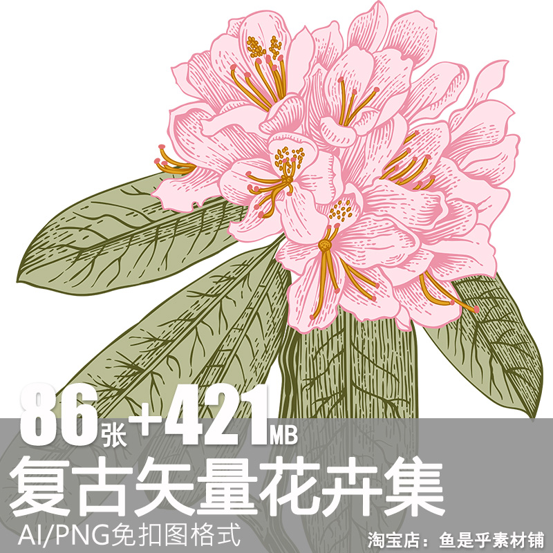 复古植物花卉花朵插画手绘古典烫金AI矢量设计PNG免抠图片素材