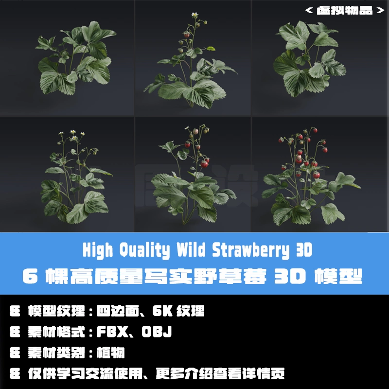 C4D高质量写实野草莓植物3D模型FBX Blender花草植物草莓OBJ模型